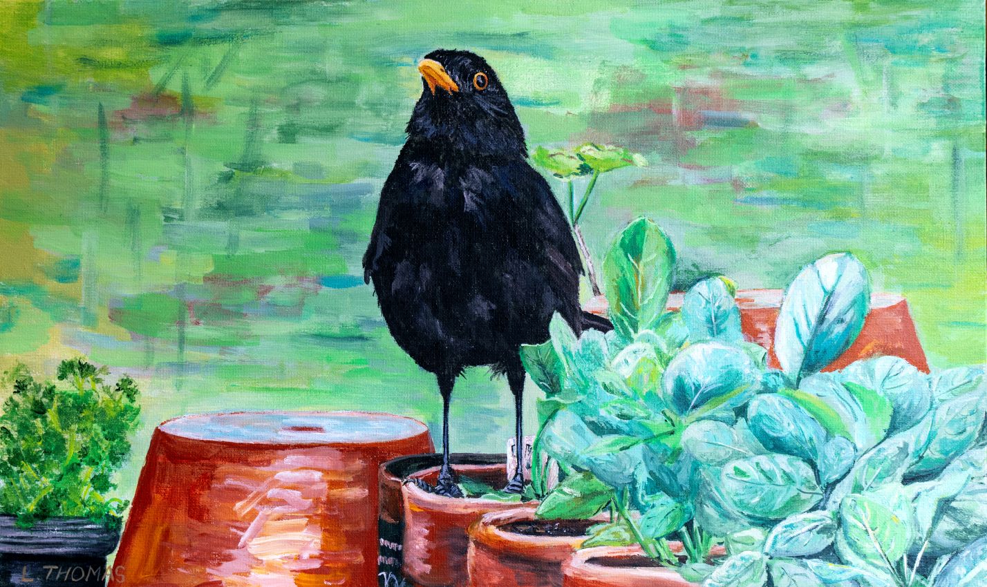 Little Garden Helper