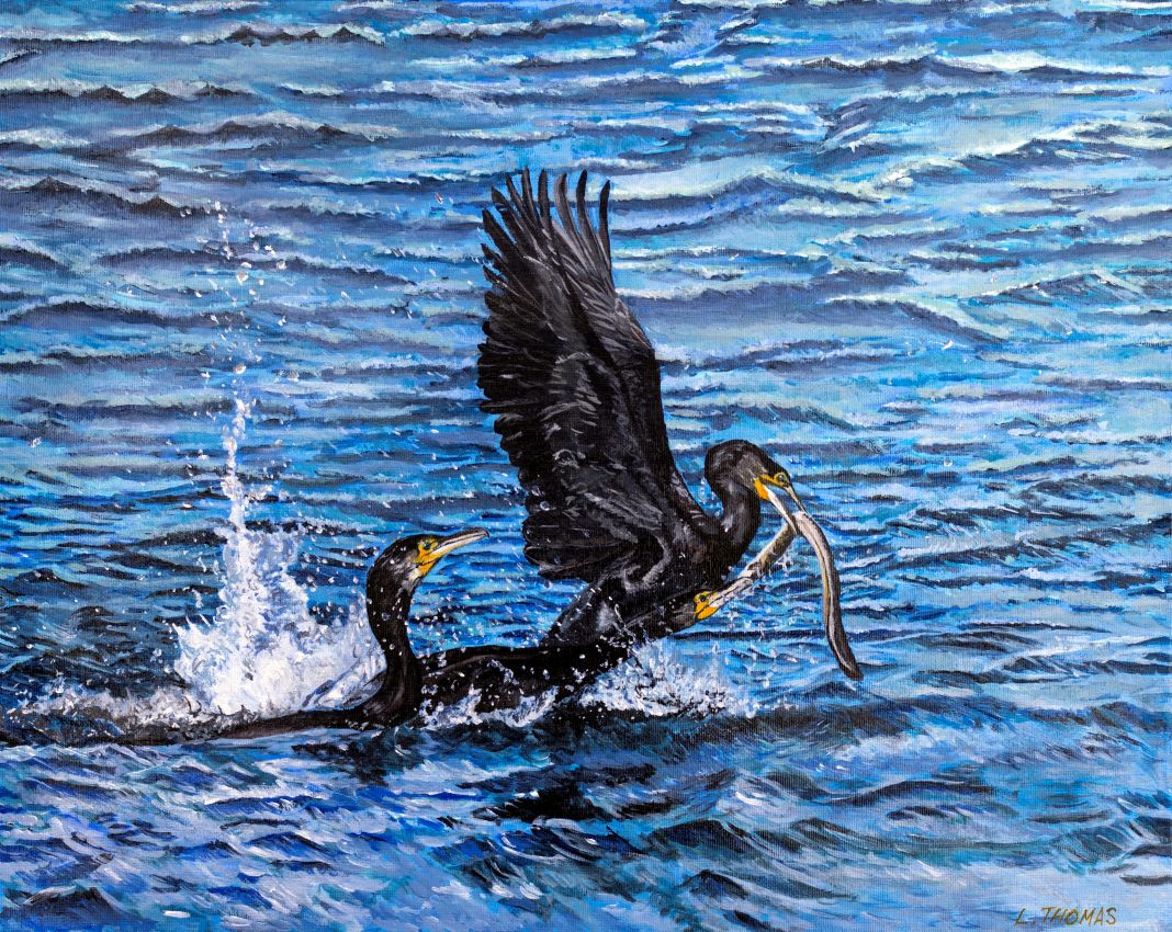 Dinner Rush at Henley Lake