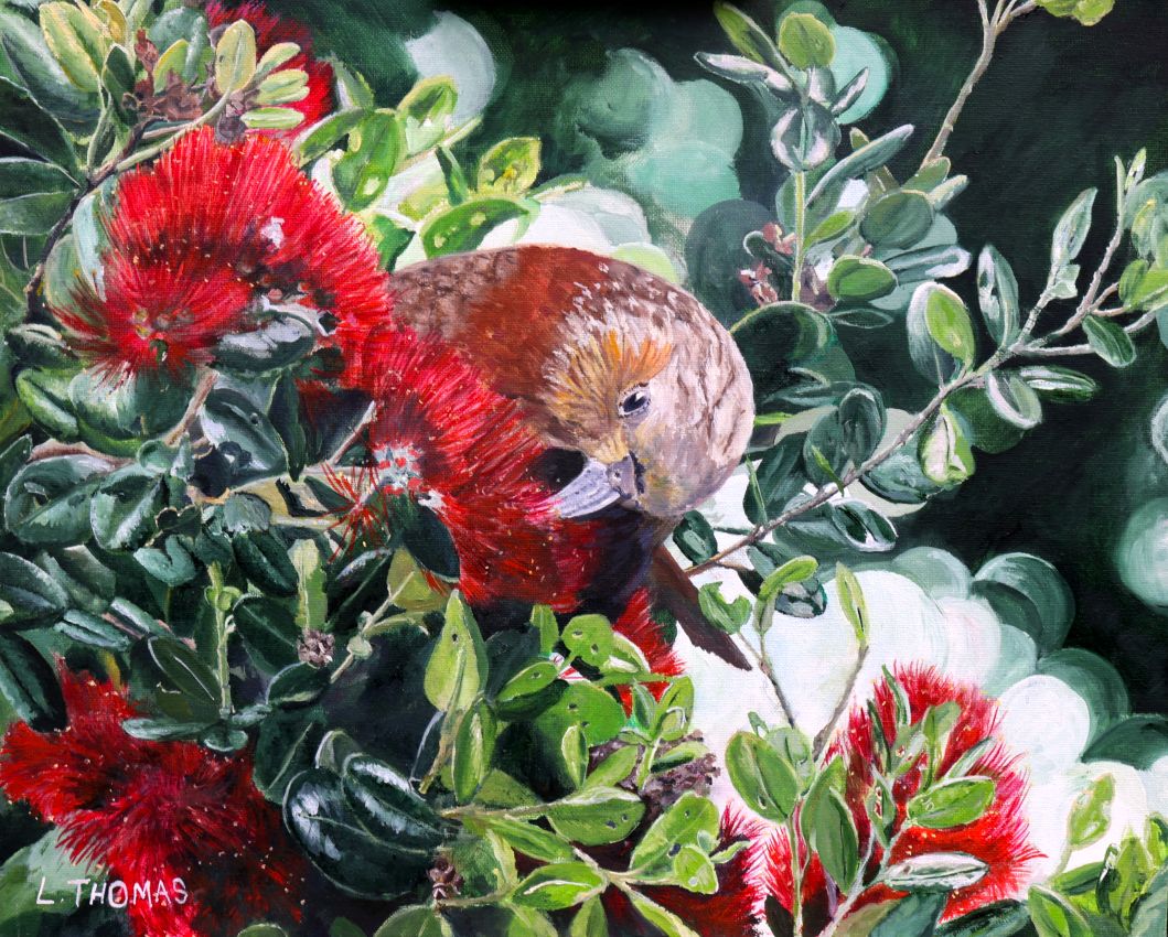 The Christmas Kākā