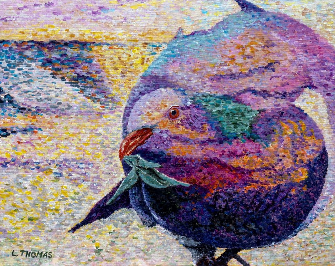 The Plump Pigeon of Peace