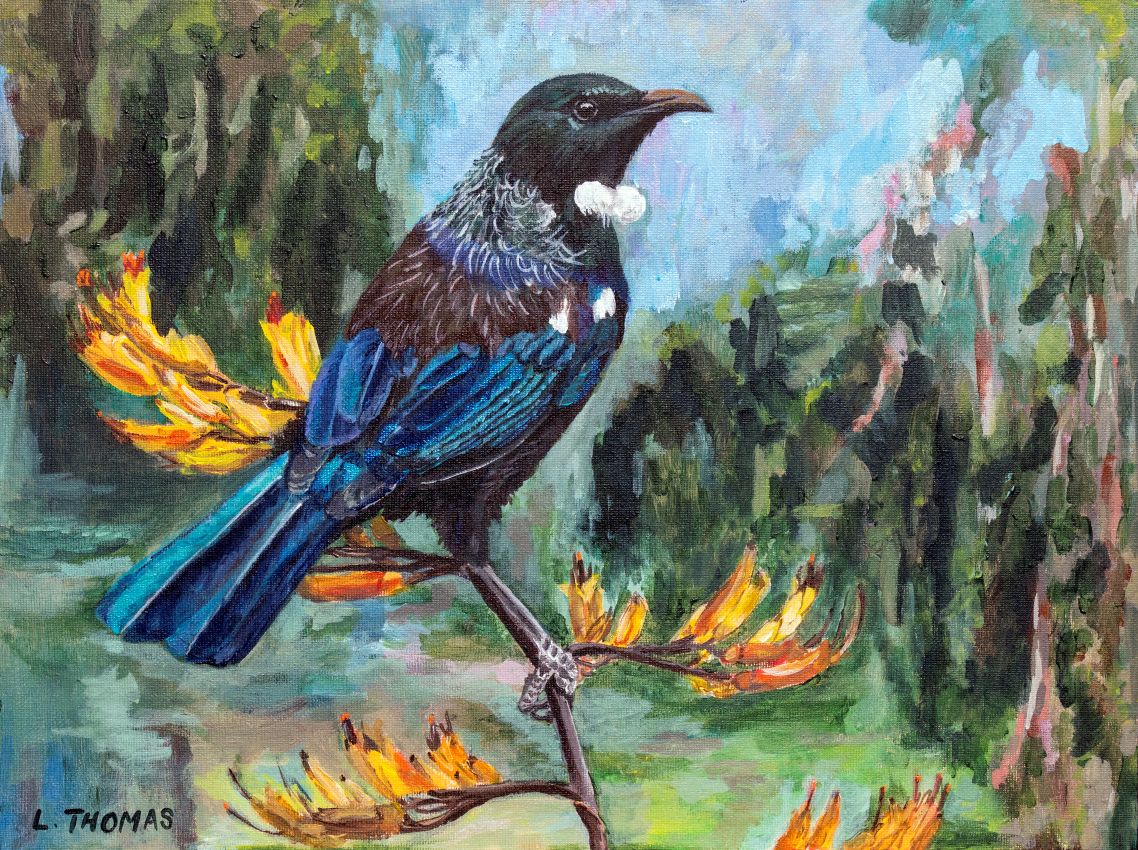 Tūī by the Hutt River