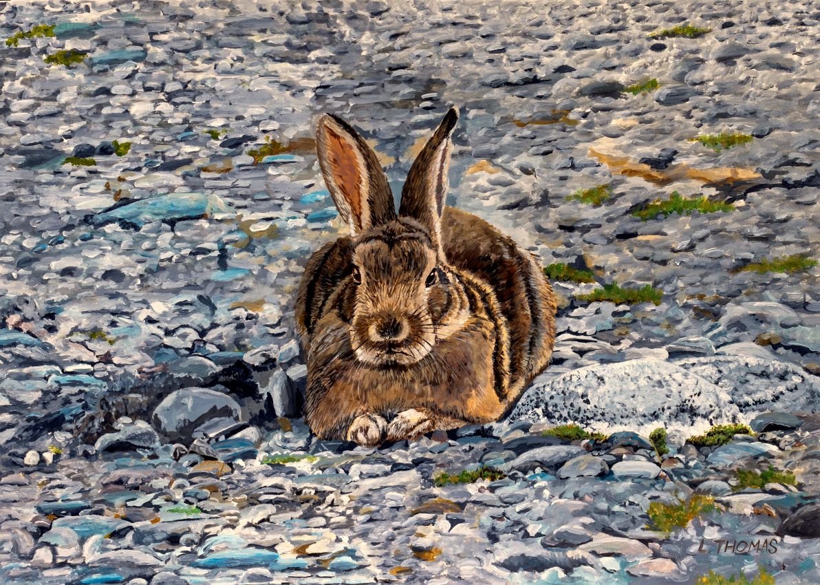 Unimpressed with the Hard Yard