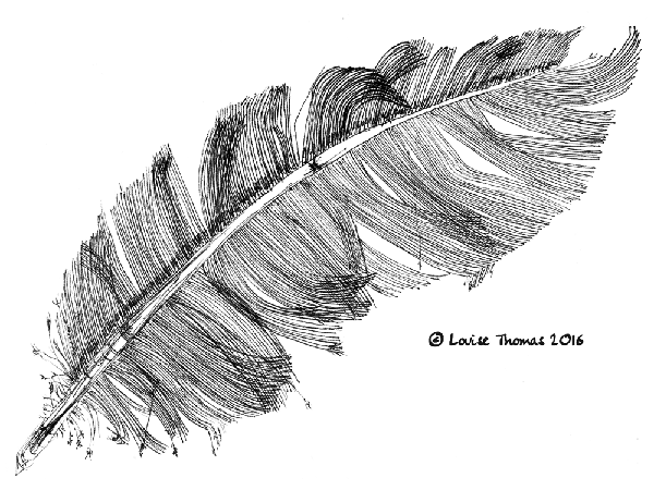 feather art