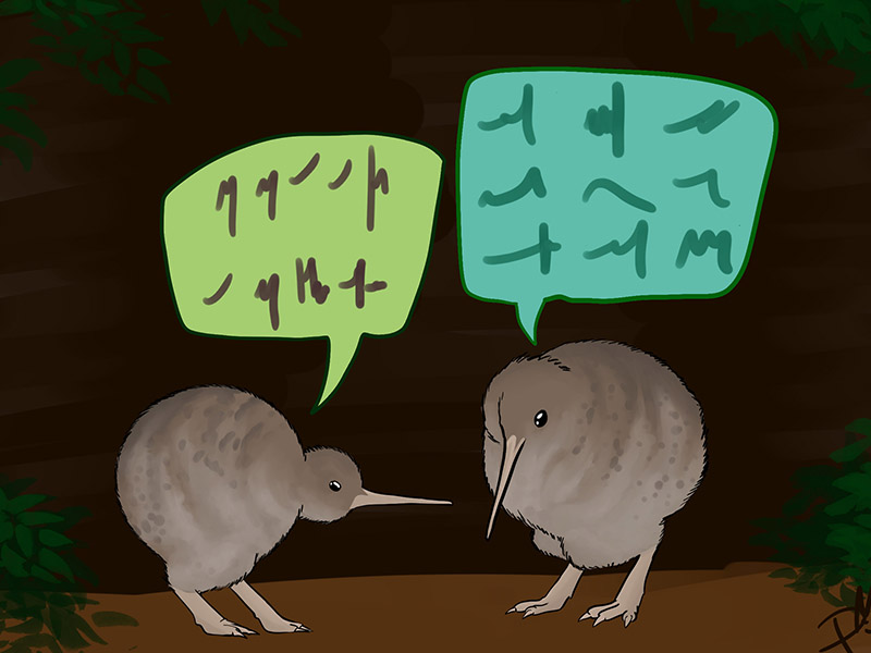 kiwis talking