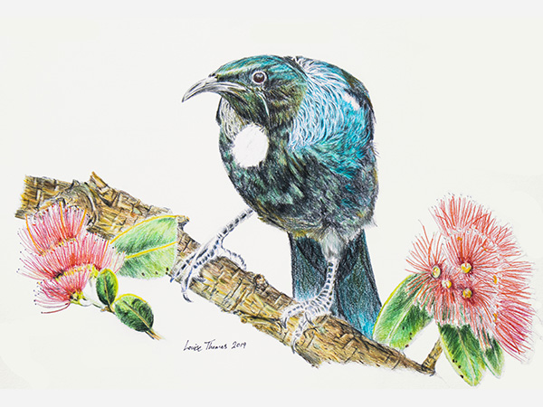 tui art