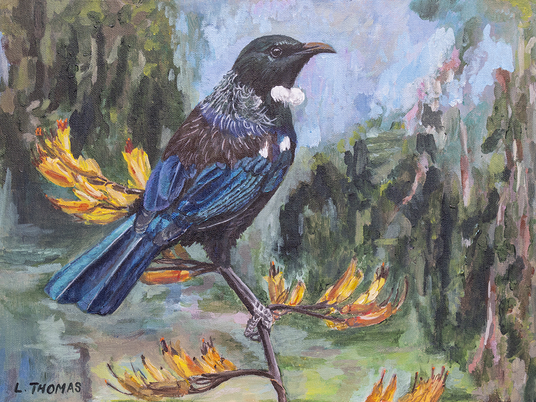 Tui by the Hutt River Tui by the Hutt River