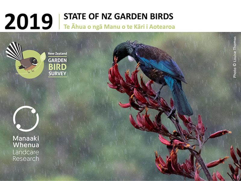 Garden bird survey cover