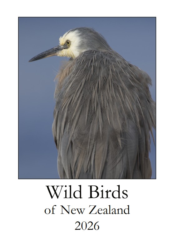 Wild bird calendar